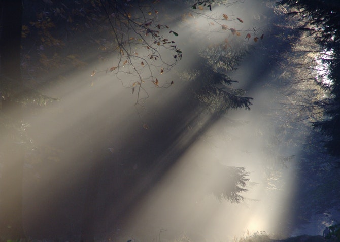 Fulfillment of the Spirit