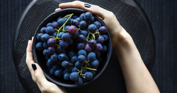 Chakra Foods