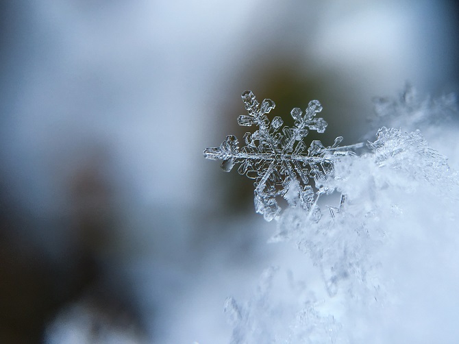 Crystals Take Many Forms