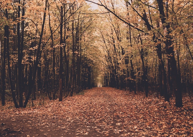 Road