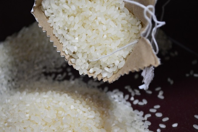 Processed Grains Make You Tired
