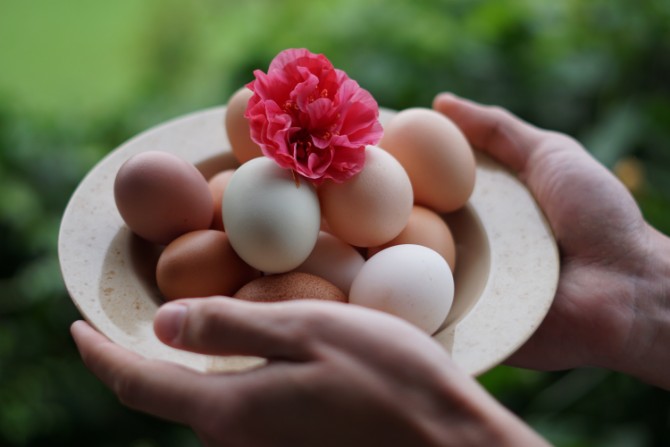 Buy Organic Meats and Eggs