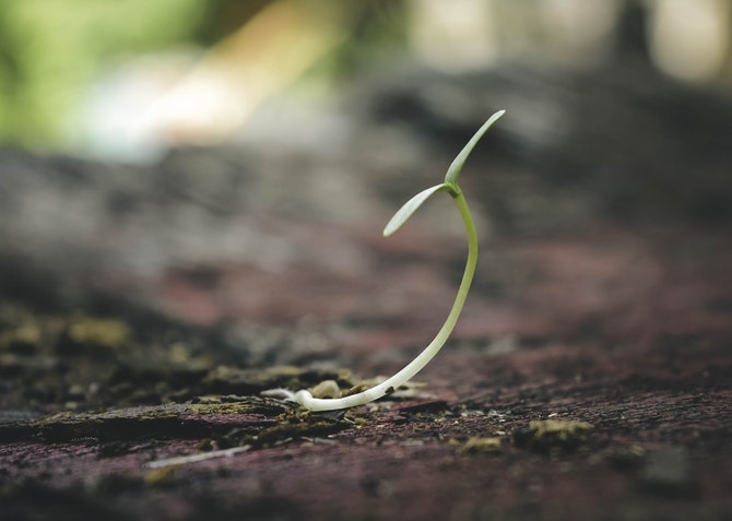For Growth