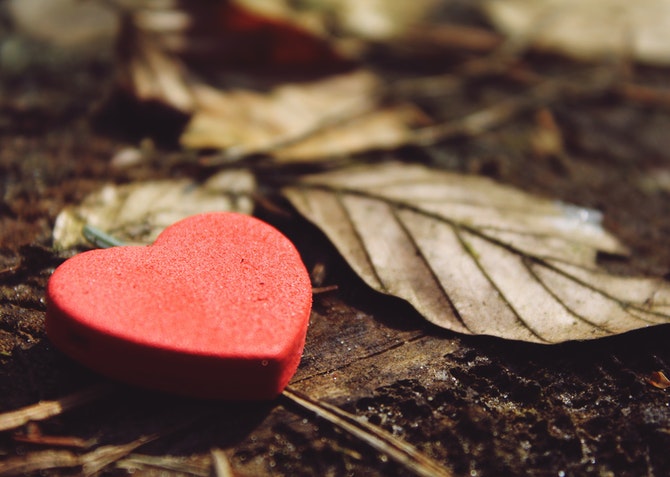 For Love