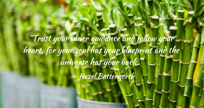 Hazel Butterworth Quote