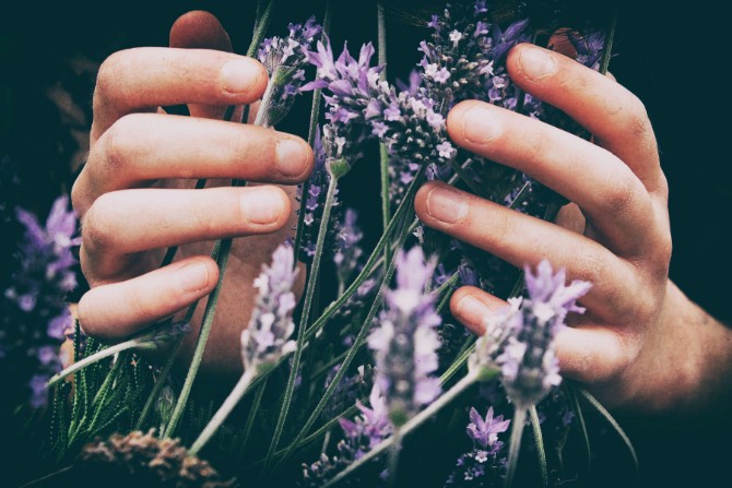 Meditate with Lavender