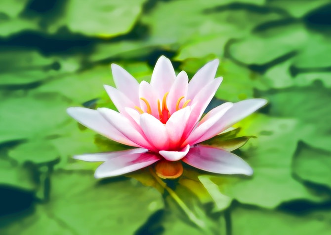Meditation