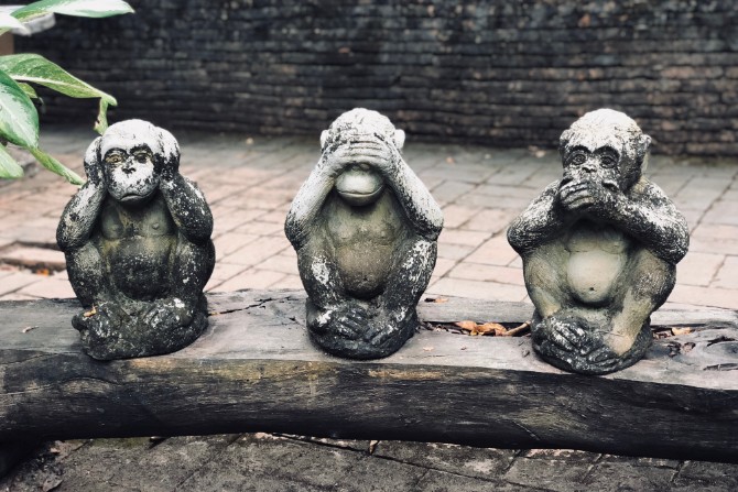 Monkey Brain 