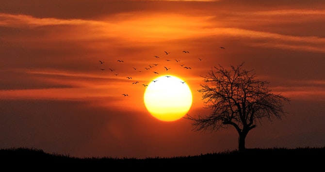 Sunset