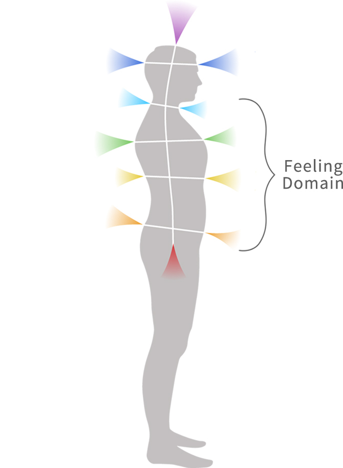 feeling domain picture