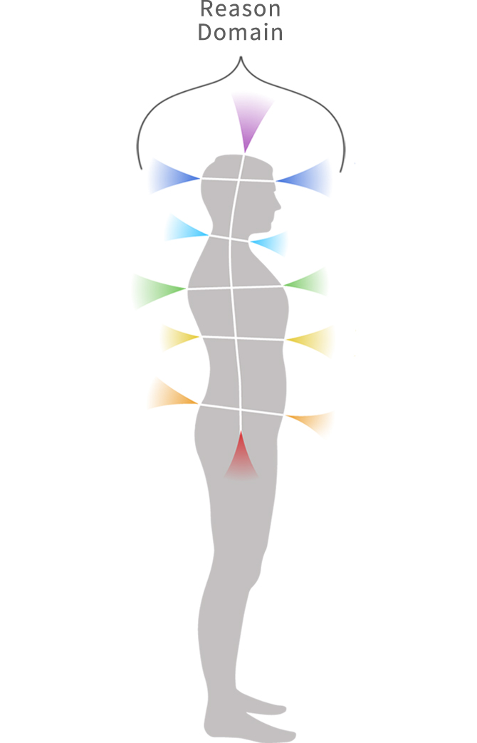 reason domain picture