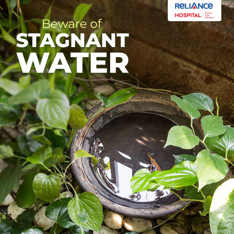 Beware of Stagnant Water