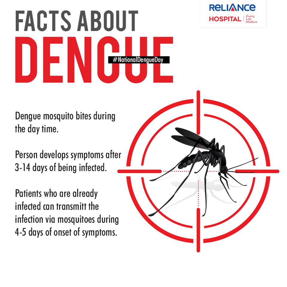 Facts about Dengue
