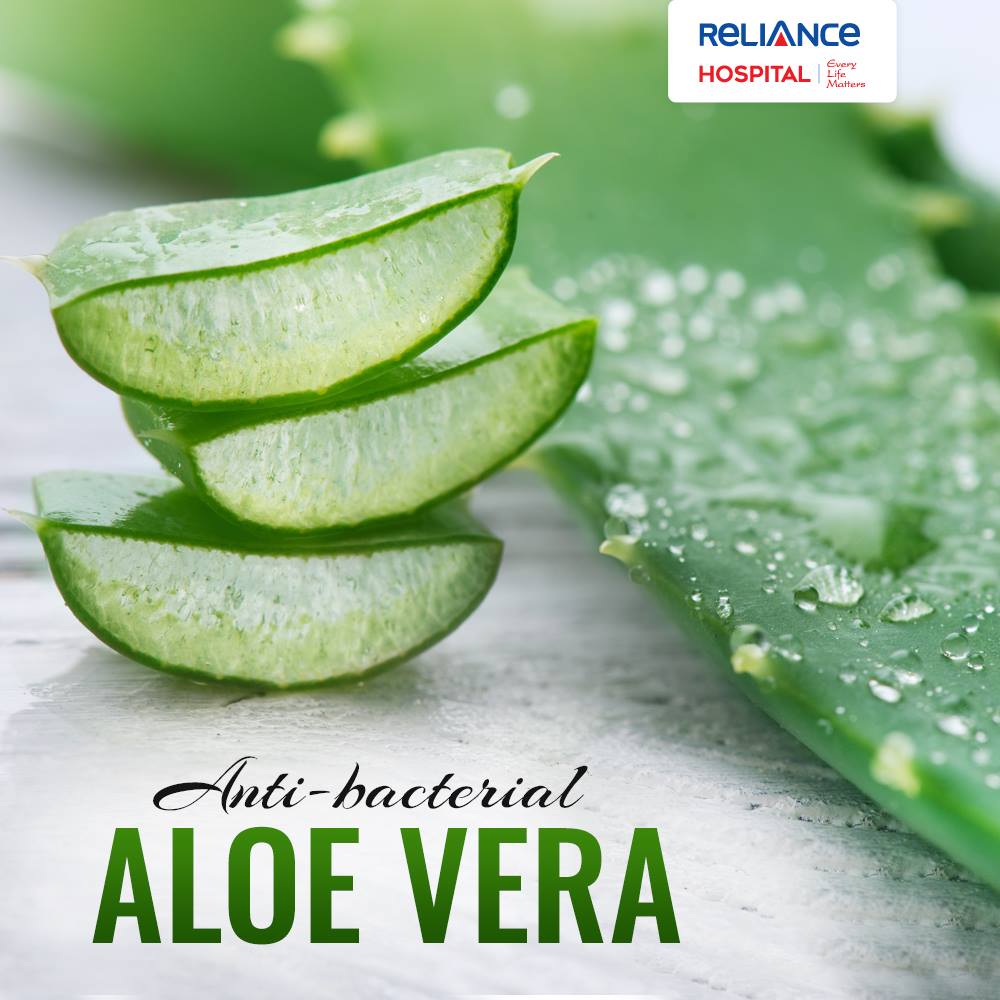 Aloe Vera Anti Bacterial and more!