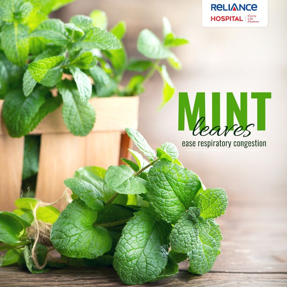 Benefits of mint leaves