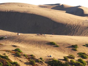 Departamento Concón (C32)