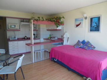 Departamento Concón (C33)