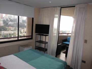 Departamento Reñaca (A135)