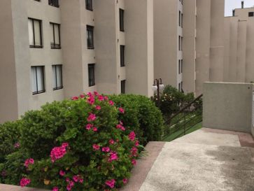 Departamento Reñaca (A135)