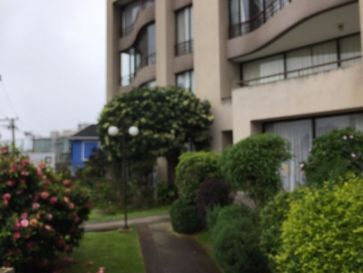 Departamento Reñaca (A135)