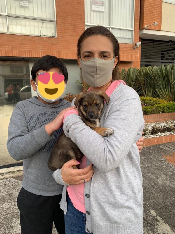 La foto donde se ve al cachorro en los brazos de una mujer y acompañada por un nene.