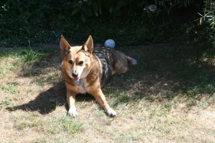 Enjoying some partial shade