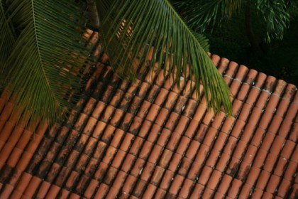 Tile roof under our balcony