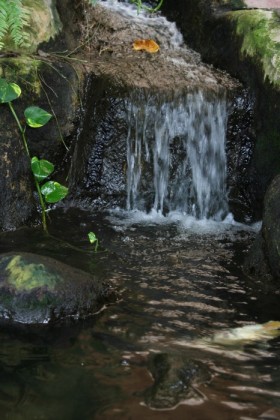 Waterscaping