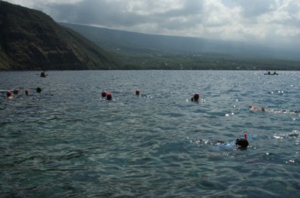 The swimmers arrive