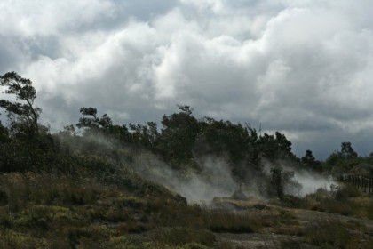 Steam vents