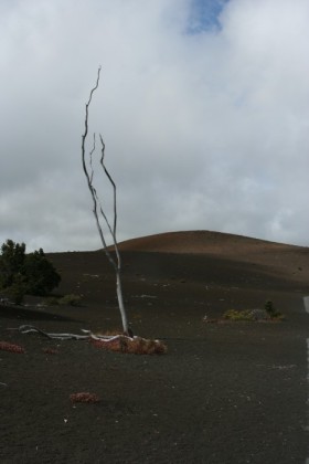 Devastation trail, living up to its name