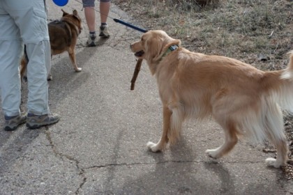 Found a stick