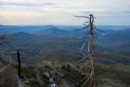 View from the top of Cuyamaca Peak