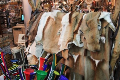 Springbok skins