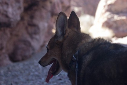 Zoe taking a break in the cave