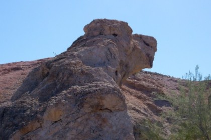 Dog-head rock