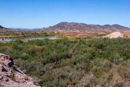 View overlooking the mosquito zone