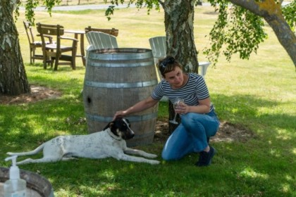 Making friends with the Bladen Winery dog