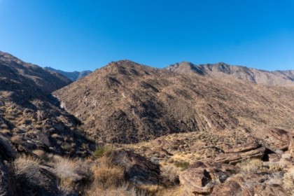 Looking up the canyon