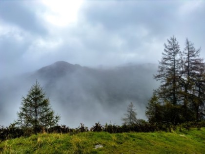 Some bright spots in the clouds