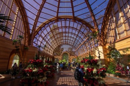Inside the newly opened botanical building