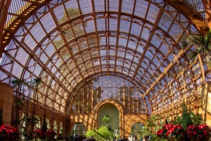 Inside the newly opened botanical building