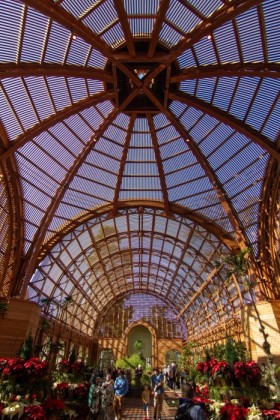 Inside the newly opened botanical building