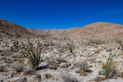 Anza-Borrego