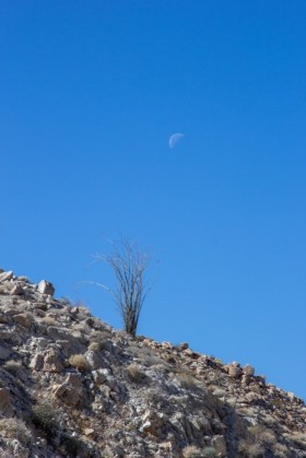 Half moon