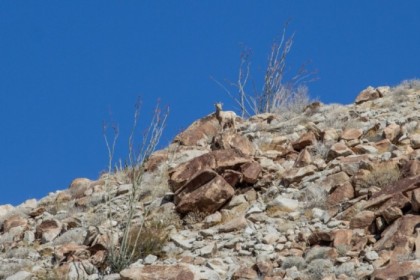 Scoping us out