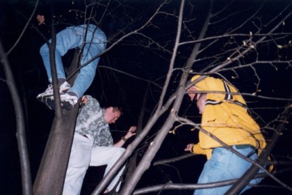 Doyle, Brian, and others in a tree