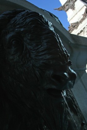 Bison fountain