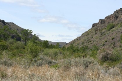 Umtanum Recreation Area