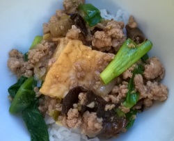 Tofu and Pork in Oyster Sauce